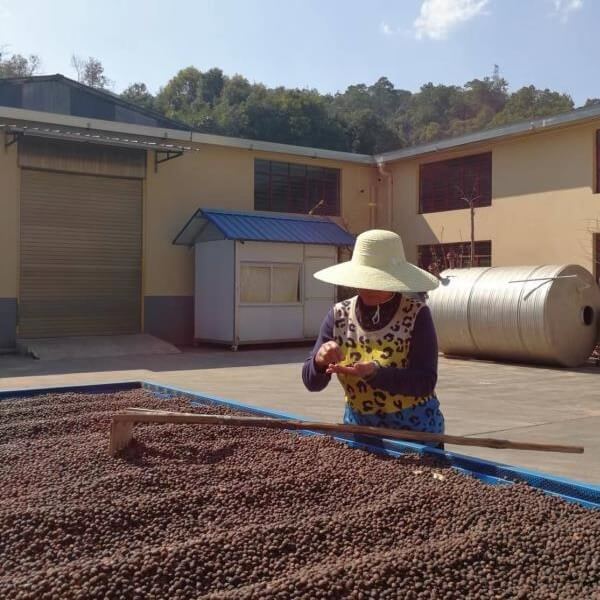 China Yulan: Extrémna káva od železnej kávovej lejdy