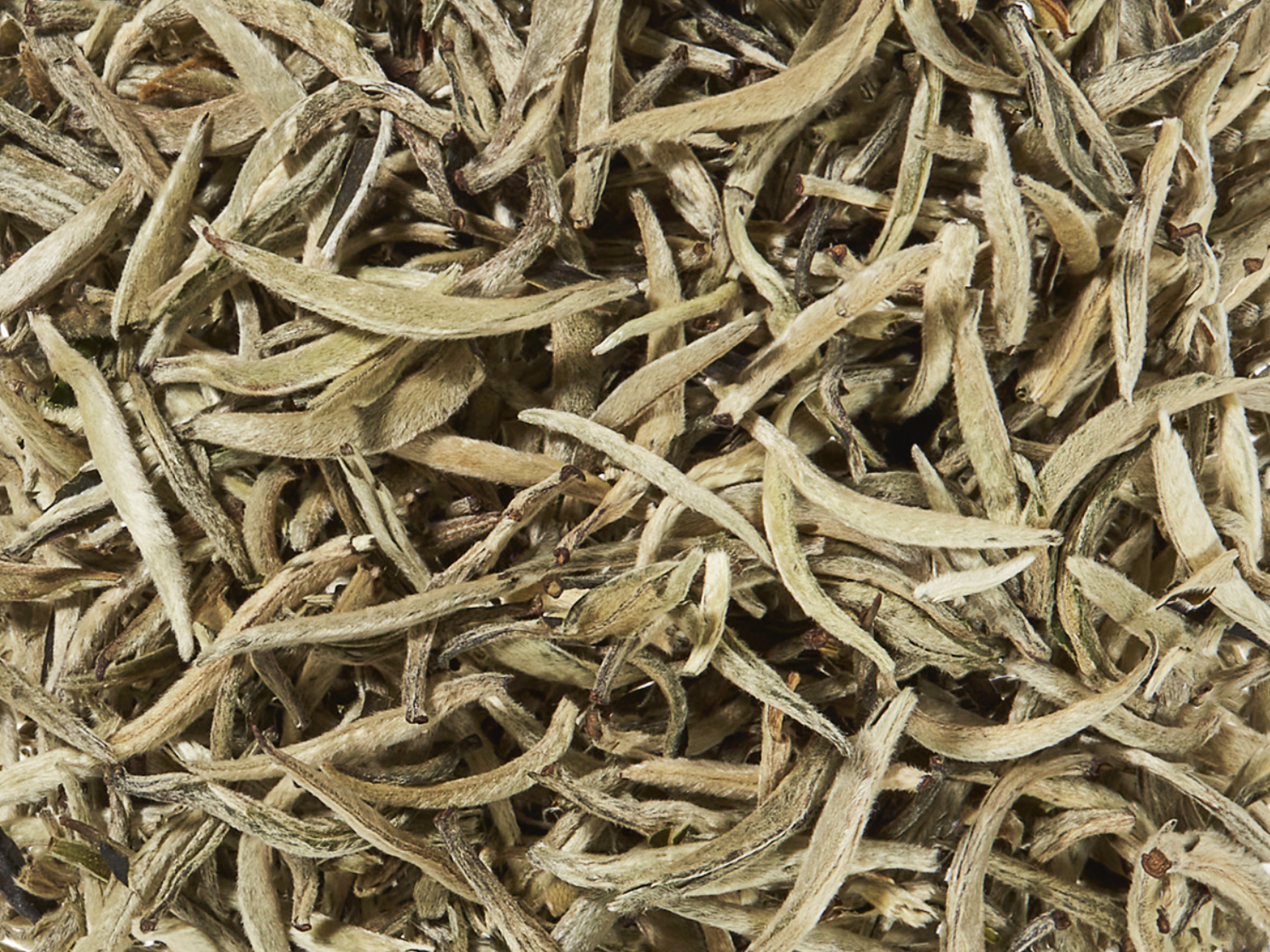 Snímka obrazovky 2026-02-17 o 13-14-33