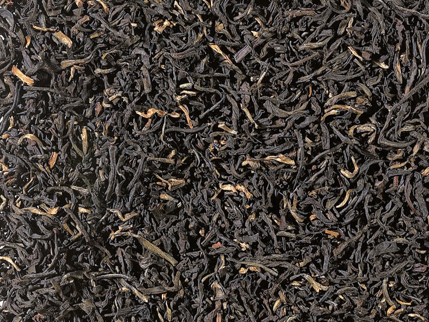 Snímka obrazovky 2026-02-25 o 9-38-27(1)