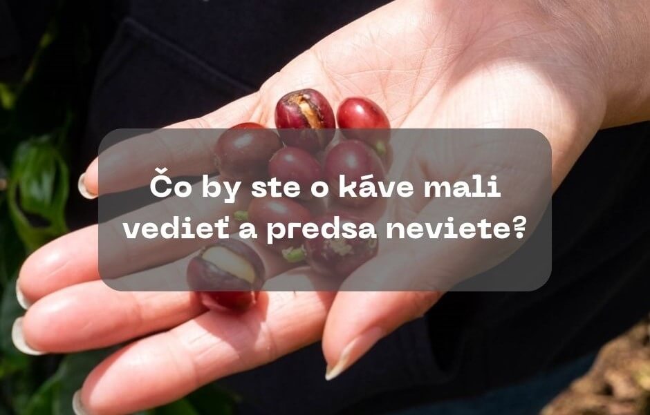 Všetko čo by ste o káve mali vedieť a predsa neviete?