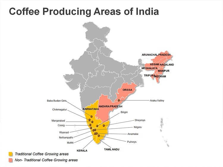India a káva
