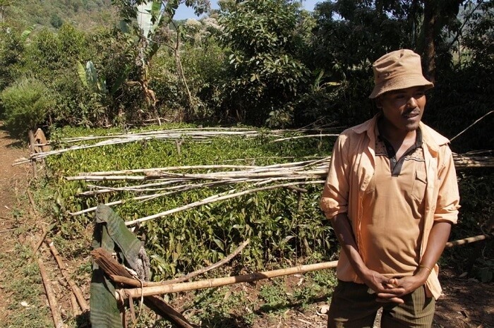 Káva - Ethiopia Gigesa - svetlé praženie