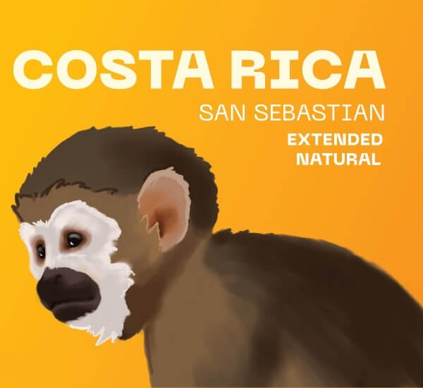 Costa Rica San Sebastian  - SVETLÉ praženie (200 g, zrnková káva)